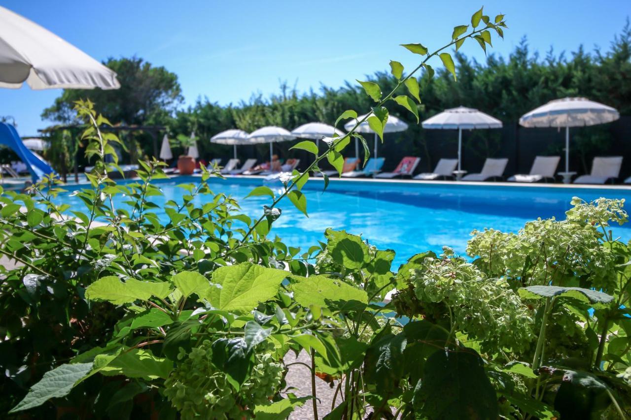 Hotel Vina Del Mar Pineta Lido di Jesolo Eksteriør billede