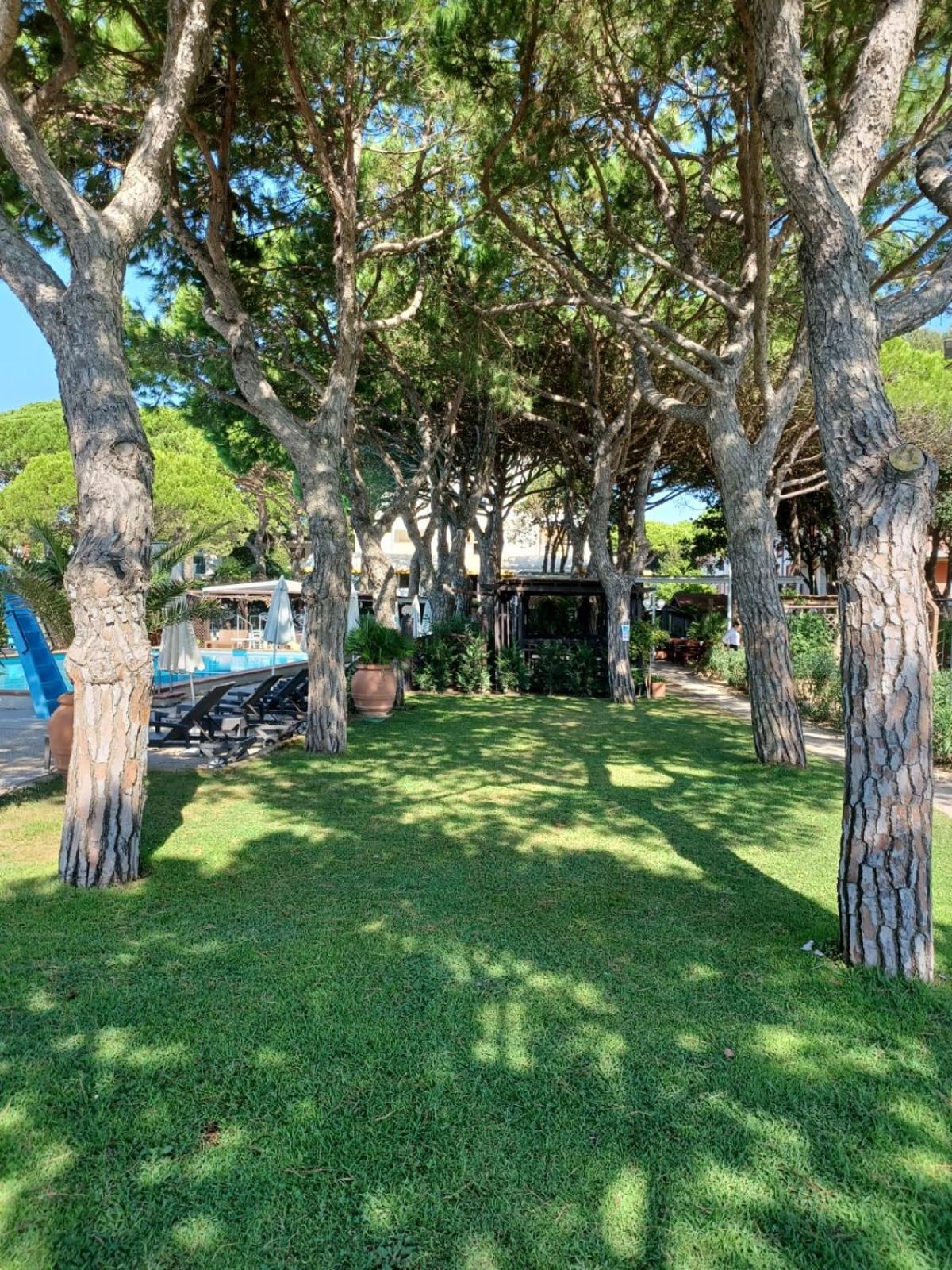 Hotel Vina Del Mar Pineta Lido di Jesolo Eksteriør billede