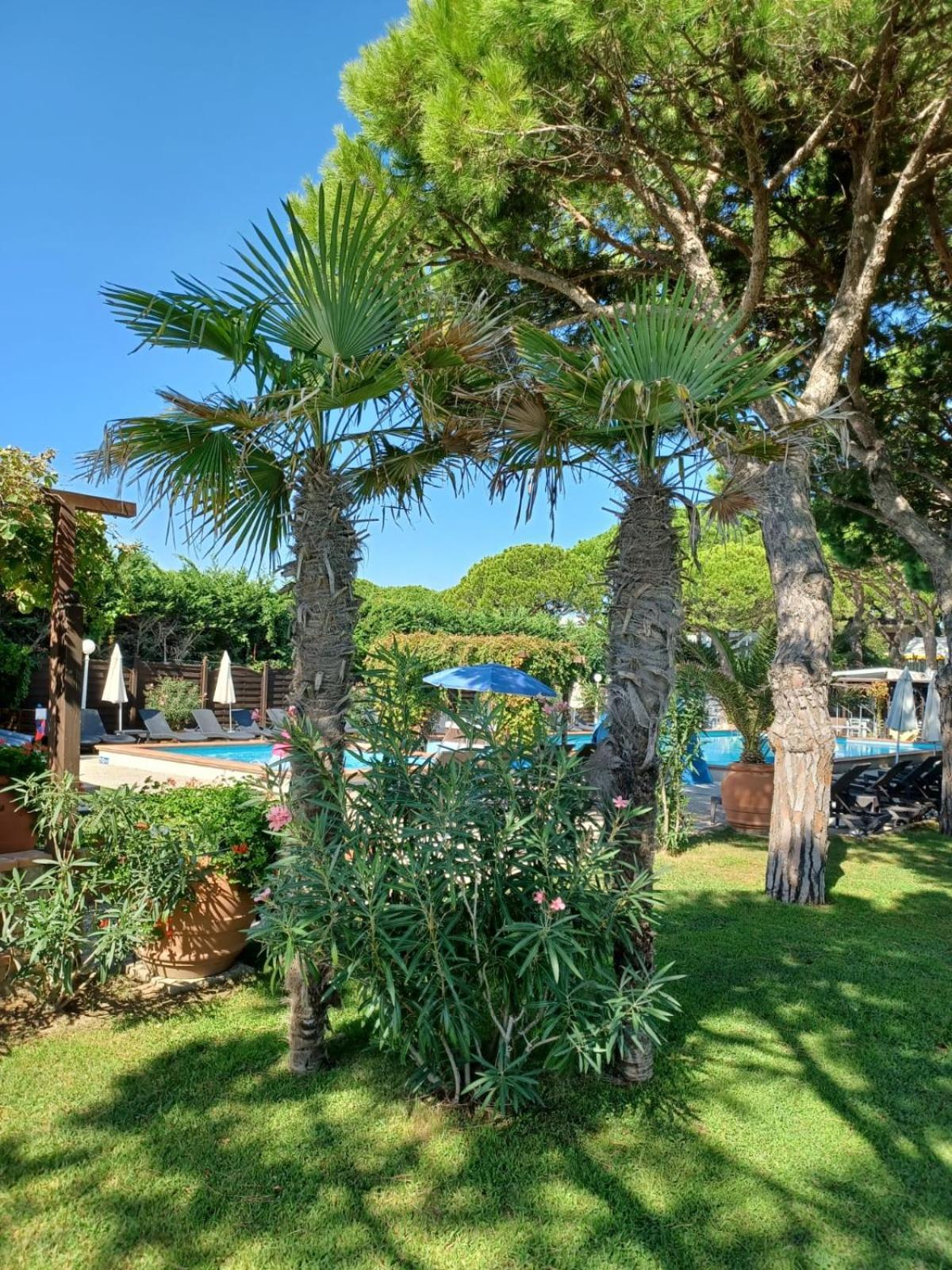 Hotel Vina Del Mar Pineta Lido di Jesolo Eksteriør billede